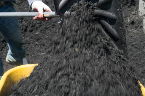 mens die zwarte mulch in een kruiwagen schept - foto’s van aarde stockfoto's en -beelden