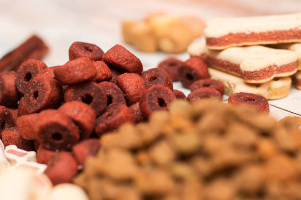 cane gustosi biscotti colorati - dog animal bone dog bone dog food foto e immagini stock