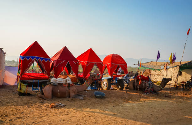 istock Camel Cart at Pushkar Camel Fair (Pushkar Mela) in Pushkar, Rajasthan, India 1222642281