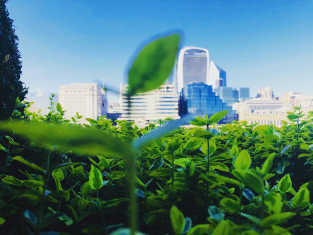 Green city The city is literally a jungle central london skyline stock pictures, royalty-free photos & images