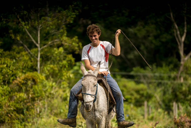 istock Young adult rides a mule through the jungle 1222647343