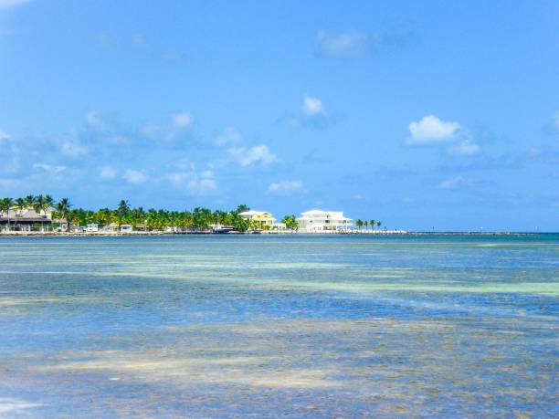 istock The Keys, Florida, USA 1222647482