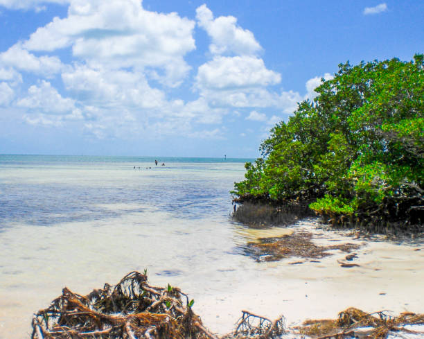istock The Keys, Florida, USA 1222648118