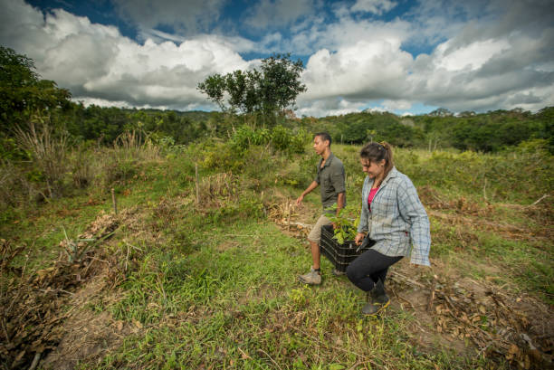 Young couple carry plants for reforestation project