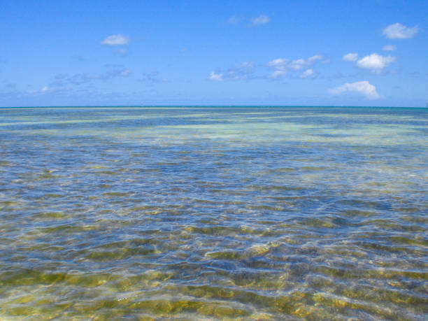 istock The Keys, Florida, USA 1222648131