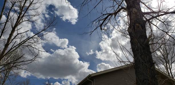 istock Country Living 1222648282