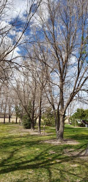 istock Country Living 1222648316