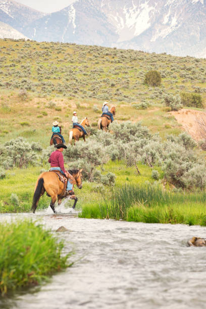 Western Trail Riding In Utah