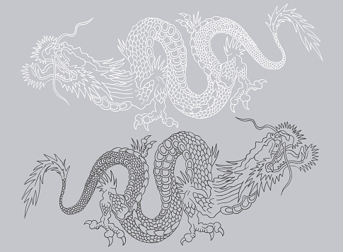 Vector illustration of two Chinese dragons. Black and white asian dragons.