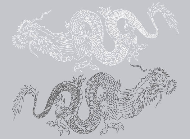 Black and white asian dragons. vector art illustration