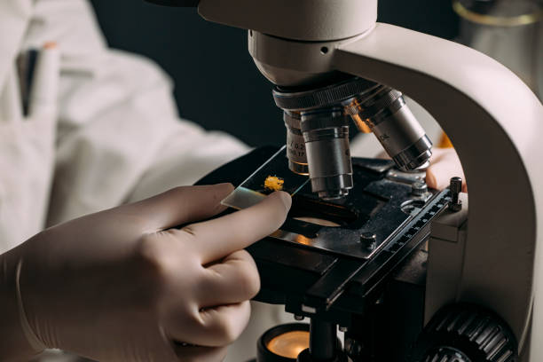 istock Close Up of a Lab Technician Examining a Sample on a Microscope 1222658635