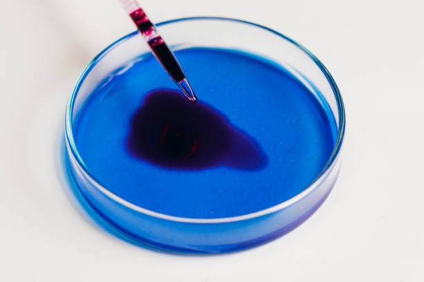Chemical reactions: various substances in petry dishes being tested in a laboratory, a close up.