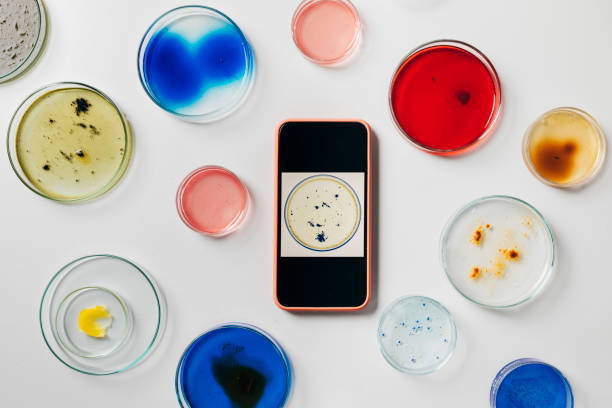 смартфон в окружении петри блюда в различных размерах, содержащих различные колонии микроорганизмов - environment bacterium research dishware стоковые фото и изображения