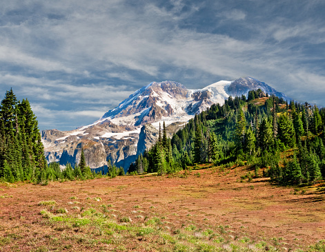 The 93 mile Wonderland Trail encircles Mount Rainier. The trail crosses many ridges and valleys, gaining and losing 22,000 feet of elevation along the way. The Wonderland Trail was built in 1915 and in 1981 was designated a National Recreation Trail. At 14,410' above sea level, Mount Rainier dominates the landscape of the Puget Sound region. Mount Rainier is the highest point in Washington State, and is also the most glaciated mountain in the continental United States. This picture of Mount Rainier was photographed from the Wonderland Trail by Klapatche Park in Mount Rainier National Park, Washington State, USA.
