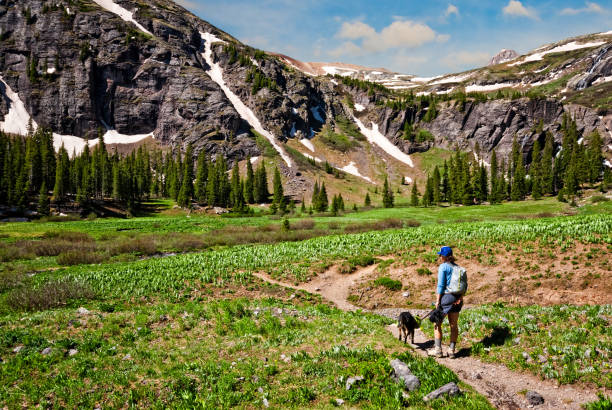 Woman and Dog Hiking to Upper Ice Lakes Basin The San Juans in southern Colorado are a high altitude range of mountains that straddle the Continental Divide.  This wide-open landscape, at 12,300, is well above timberline.  The young woman and her dog were photographed on the way to Upper Ice Lake in the San Juan National Forest near Silverton, Colorado, USA. jeff goulden domestic animal stock pictures, royalty-free photos & images