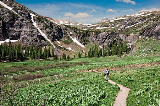 The San Juans in southern Colorado are a high altitude range of mountains that straddle the Continental Divide. This wide-open landscape, at an elevation of 11,400 feet above sea level, is well above timberline. This woman hiker was photographed crossing a meadow at Lower Ice Lake Basin in the San Juan National Forest near Silverton, Colorado, USA.