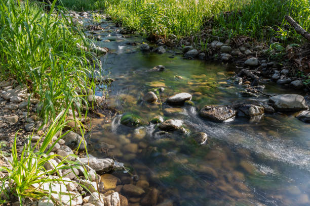istock Snow melt water flow bringing life to the valley. 1222662587