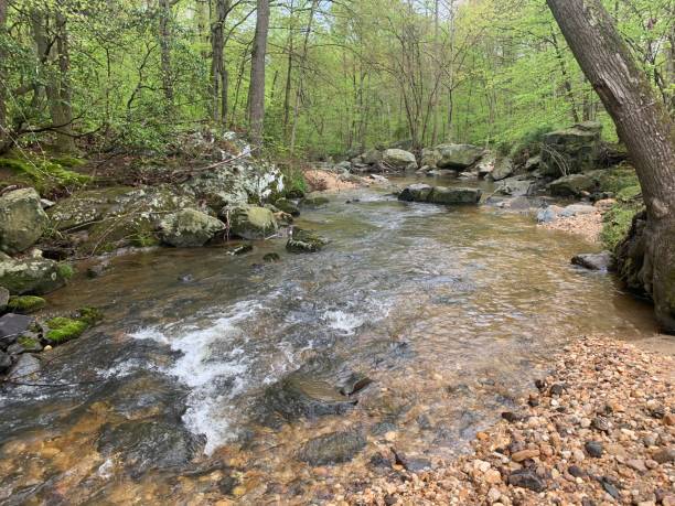 istock Nature by North East Creek 1222665706