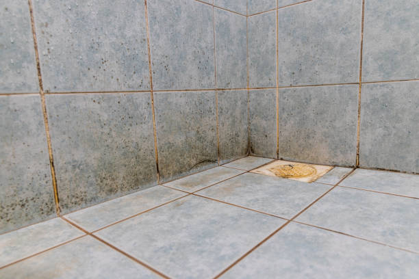 istock Mildew, dirty unhygienic mold growing on bathroom wall tile 1222667127