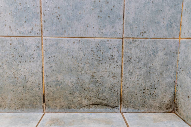 istock Mildew, dirty unhygienic mold growing on bathroom wall tile 1222667135