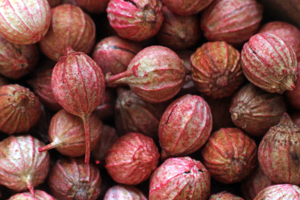 istock macro detail of coriander seeds 1222672247