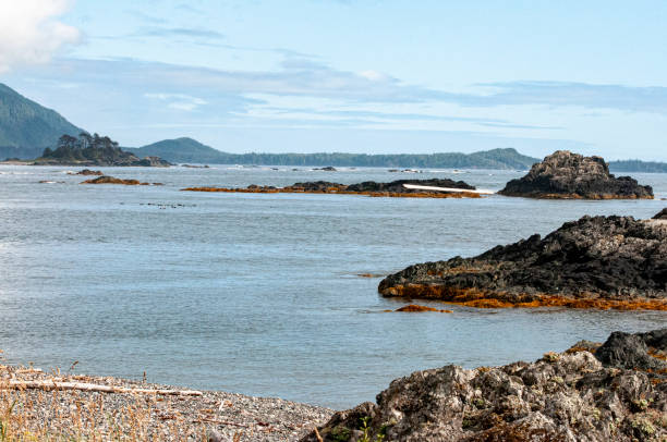 istock Expansive ocean with sand and rocky beach and rocky islands 1222672889