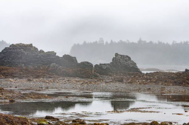 istock Tide pool at low tide with rocky beach 1222672901