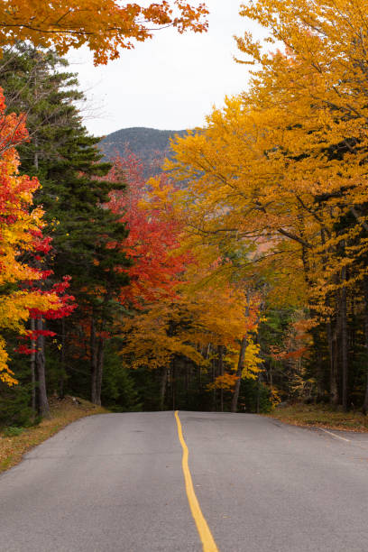 istock Mount Washington Auto Road in Autumn 1222676330