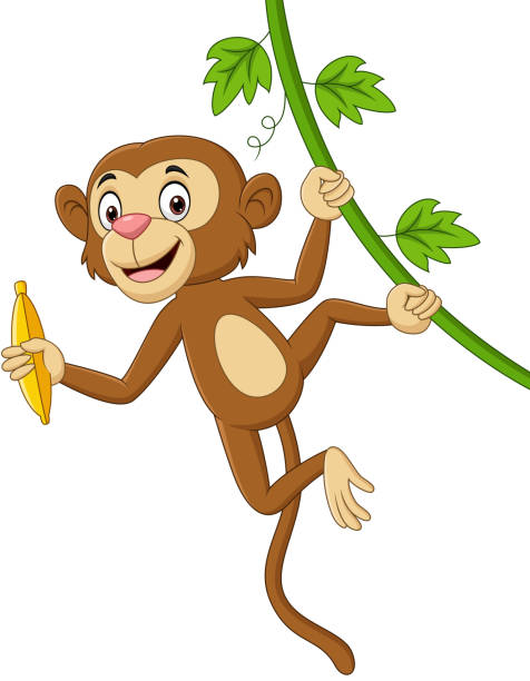 illustrations, cliparts, dessins animés et icônes de singe de dessin animé suspendu et retient la banane dans la branche d’arbre - monkey tropical rainforest tree cartoon