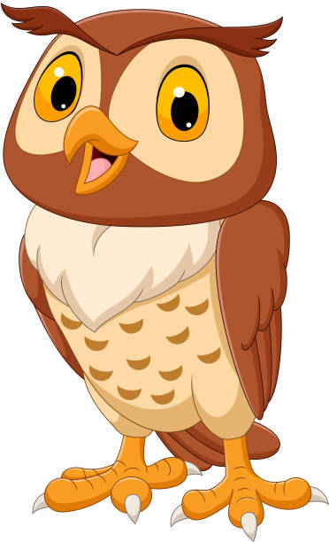 Cartoon funny owl isolated on white background Vector illustration of Cartoon funny owl isolated on white background owl illustrations stock illustrations
