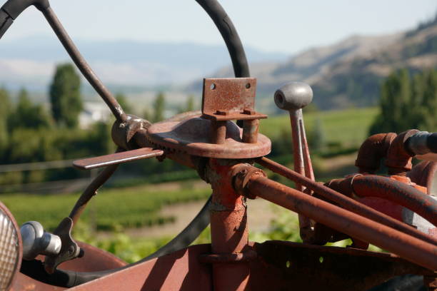 A vintage rusty tractor in a vineyard stock photo