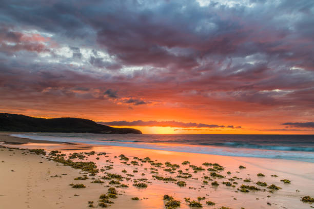 istock Cloudy Sunrise Colours Up at the Seaside with Seaweed 1222684590