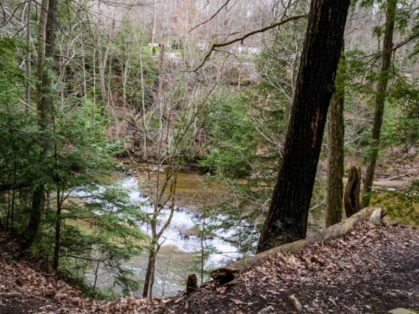 istock Scenic view at Cleveland Metroparks, Ohio 1222690526