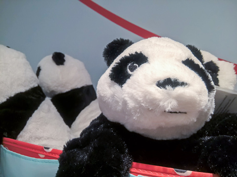 many panda dolls hang on the wall for sale in store.