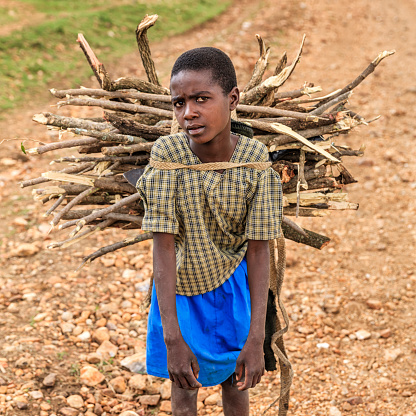 Young African girl carrying brushwood,  southern Kenya, East Africa