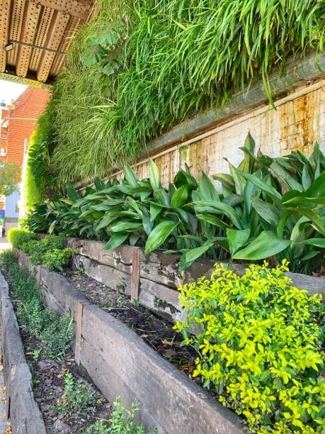 istock Vertical garden in Buenos Aires city 1222697306