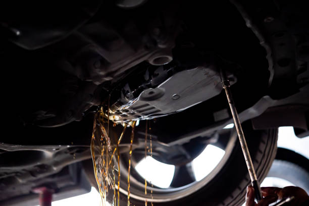 Car mechanic drain automatic transmission fluid stock photo