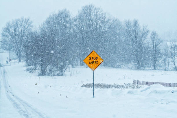 istock Bright Yellow Stop Ahead Road Sign During Winter Blizzard Snow 1222702312