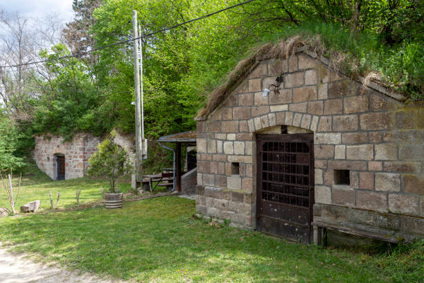 istock Wine cellars in Cserepfalu, Hungary 1222709616