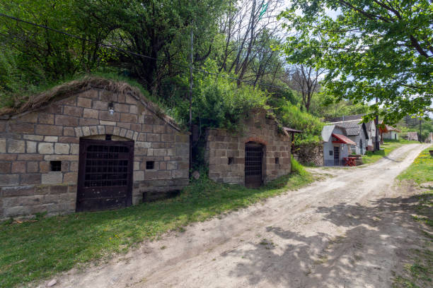 istock Wine cellars in Cserepfalu, Hungary 1222712251