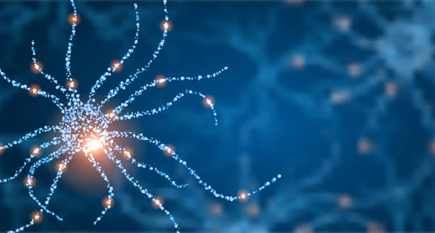 Concept of Neuron Cells with Glowing Link Knots, Science Unfocused Background. Mixed Media Concept of Neuron Cells with Glowing Link Knots, Science Unfocused Background. Mixed Media - Illustration Vector human nervous system illustrations stock illustrations