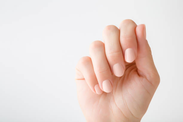 jovem mãos de mulher com unhas de cor bege em fundo cinza claro. manicure simples. vista frontal. closeup. lugar vazio para texto. - aparência - fotografias e filmes do acervo