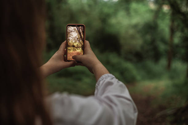 istock Taking a picture of a forest with a modern smartphone 1222723859