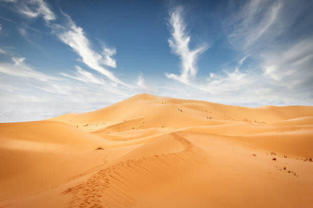 sahara sand dunes empreintes erg chebbi maroc - great sand sea photos et images de collection