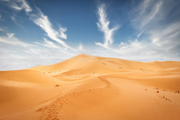 sahara dune di sabbia impronte erg chebbi marocco - great sand sea foto e immagini stock