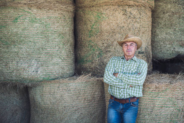 Portrait of senior farmer in ranch.