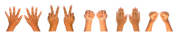 istock Set of hands isolated on white background. 1222724217
