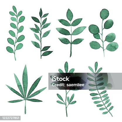 istock Watercolor Green Branches With Leaves 1222727851