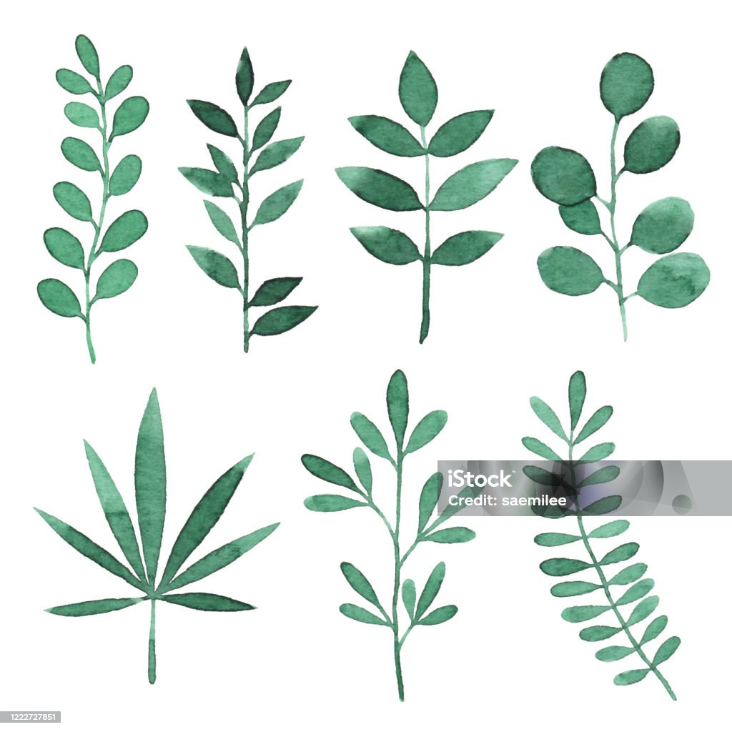 Watercolor Green Branches With Leaves Vector illustration of green leaves. Leaf stock vector