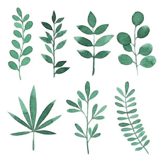 Vector illustration of Watercolor Green Branches With Leaves